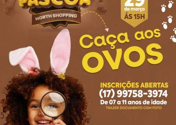 14bb6b02-bc74-45bc-a4f8-7f949edae0a9