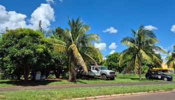 8047c151-823e-4f39-b6f1-a8299e9db841