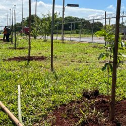 855b2660-7bad-41ff-b6b7-29d1bcf04588