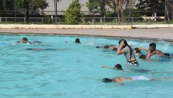 95fbb27c-2a08-423d-a455-c5130edebbe5