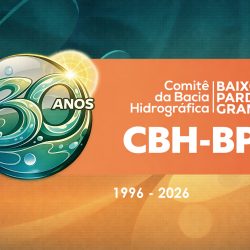 Pag 4B Comitê Baixo Pardo Grande OK