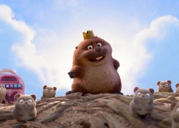 WhatsApp Image 2026-02-26 at 16.35.12