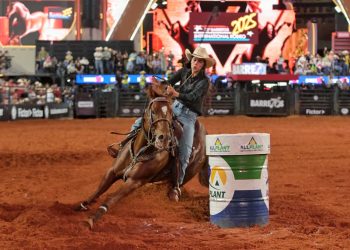 WhatsApp Image 2026-03-20 at 17.04.24