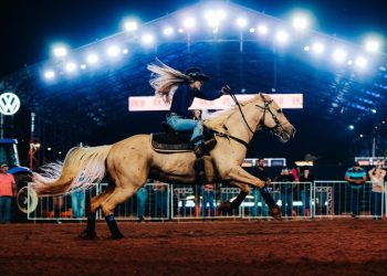 WhatsApp Image 2026-04-17 at 16.46.23