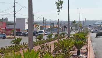 a50b324c-c56f-47cc-9167-9f67251a7f6c