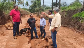 b2153696-6039-4321-9000-edb7cbe69f68