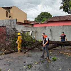 be604b5f-b1f3-4f61-9c92-2ab23cedad98