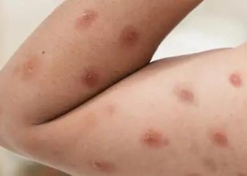 c7195261-5553-4ff1-8183-f47abc5e3b65