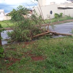 e031e40e-3f89-46d9-8fcd-2e2d9a4bb0c2