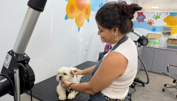 e56a41b2-5841-41ae-a8df-cb0ca98cd210